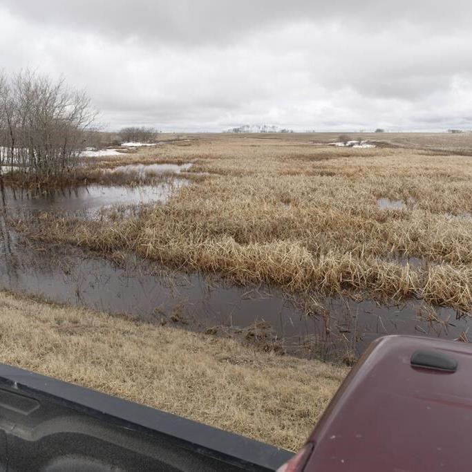 'We need wetlands': Saskatchewan environmental groups concerned over drainage plan